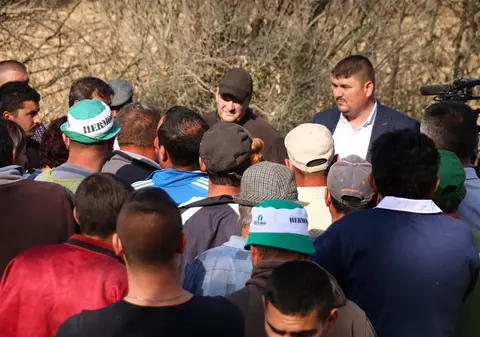 Durere mare în satul doljean unde s-a înregistrat un caz de pestă porcină: “Eu mor până diseară, mor înaintea porcilor”
