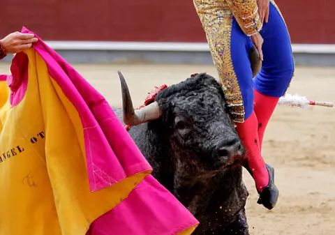 FOTO | Momentul șocant în care un matador este împuns de un taur furios. Omul a fost rănit grav