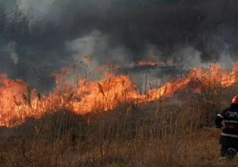 Un bărbat a ars de viu după ce chiar el a dat foc vegetației uscate din grădină!