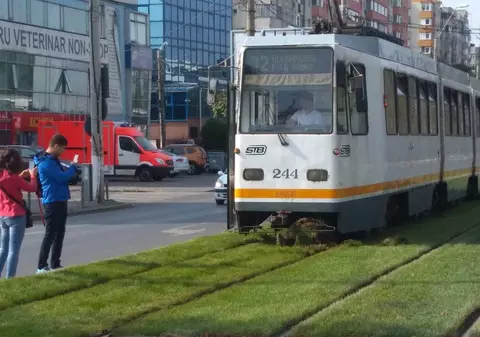 INVESTIGAȚIE EXCLUSIVĂ/ Primăria Sectorului 5 a cumpărat cu 41 de euro iarbă de 2,5 euro! Gazon achiziționat cu un preț supraevaluat pe metrul pătrat