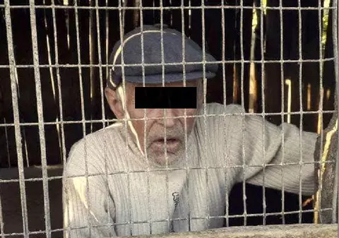Un bătrân din Vaslui a fost prins în cotețul scroafei. „A început să o bâjbâie sub coadă”