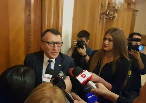 VIDEO/ FOTO Puciştii din PSD, la judecata partidului: "Noi nu avem niciun fel de armată în spate, nu vrem să preluăm conducerea statului"