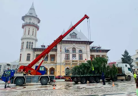 VIDEO&FOTO/ Bradul de Crăciun de la Buzău, donat de un localnic nevoit să-l taie: "Când s-au apropiat cu drujba de el, mi-au dat lacrimile"