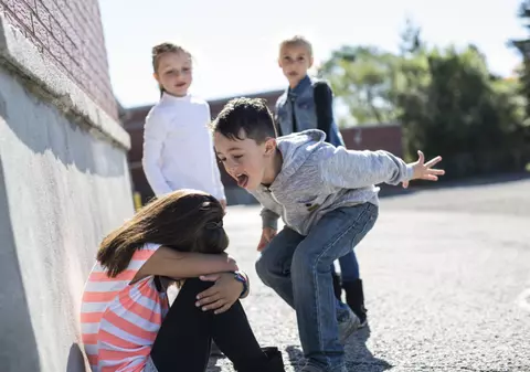 Legea anti-bullying a fost votată de deputaţi. Violenţa psihologică, un fenomen care se manifestă din ce în ce mai des în şcoli