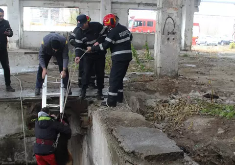 VIDEO&FOTO/ Ciobănesc german salvat după o săptămână de pompierii vrânceni dintr-un bazin adânc de 8 metri. Bobiță a lătrat disperat zi și noapte până a fost auzit