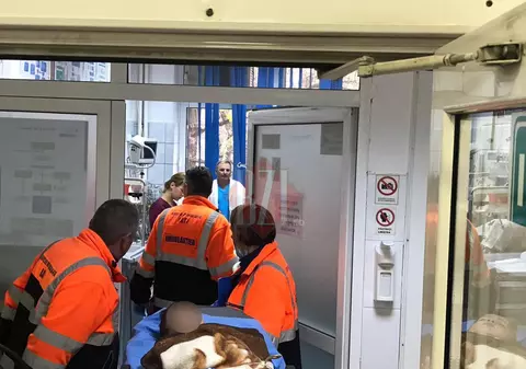 Doi frați din Iași au plecat de la școală, dar au ajuns la spital. Ce s-a întâmplat cu copiii de 6 și 10 ani