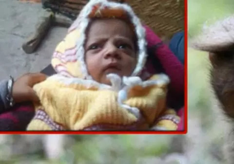 Caz șocant: un copil de 12 zile a fost luat de o maimuță de la sânul mamei și ucis pe acoperișul casei vecinilor! | VIDEO