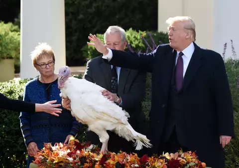 Donald Trump a grațiat doi curcani. Mazăre și Morcov au fost cazați într-un hotel de lux / FOTO&VIDEO