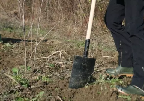 Un tânăr de 17 ani ani a ucis cu lopata un bătrân de 69 de ani. Motivul e halucinant