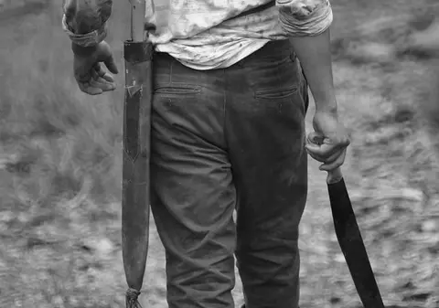 Un tânăr a intrat cu maceta într-un cazinou din Timișoara ca să fure bani. A amenințat un angajat, dar s-a speriat și a fugit