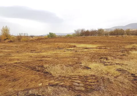 Pădure Centenară într-o comună din județul Arad. Vor fi plantați 1918 stejari: "Vrem să lăsăm în urmă un loc plin de viață, nu un monument rece"