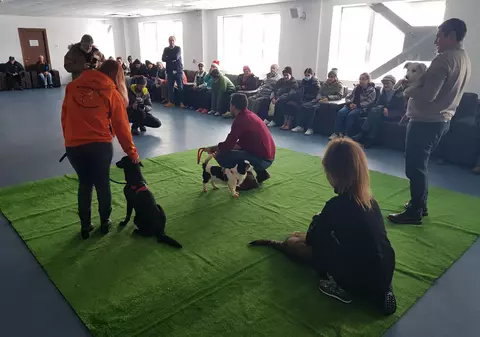 Un strop de bucurie pentru oamenii străzii. Patru căței i-au făcut pentru câteva clipe să zâmbească