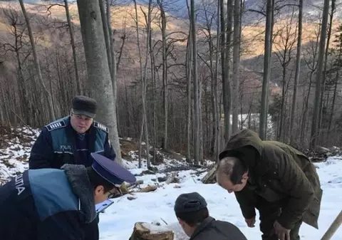 Doi pădurari din cel mai mare ocol silvic din Gorj cred că vor fi dați afară tocmai pentru că au sesizat tăierile ilegale de lemne