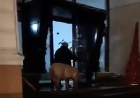 S-a dus la primărie cu un porc viu! Omul a fost internat la psihiatrie
