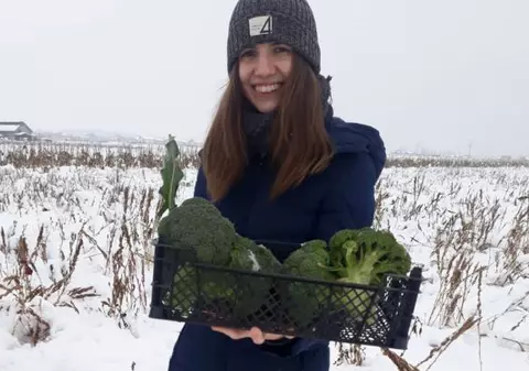 Broccoli de România a crescut în zăpadă, la minus 12 grade Celsius. Rețeta de succes a unei studente la Agronomie din Craiova