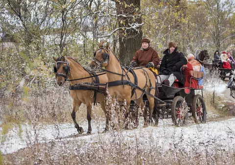 Accident grav: 20 de răniți, după ce două trăsuri s-au ciocnit la o trecere de cale ferată