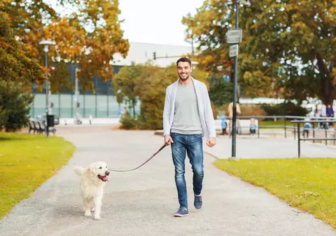 Universitatea în care studenții sunt invitați să plimbe câinii. Cum este motivată această inițiativă