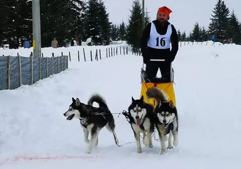 Concursul cu câini nordici din Pasul Tihuța, inclus în documentarul "Wild Carpathia". Pelicula promovează frumusețile României