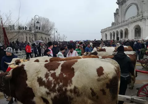 FOTO/ Deși mai puțini ca în anii trecuți, constănțenii tot s-au înghesuit ca să ia agheasmă. IPS Teodosie a aruncat spre cer trei porumbei