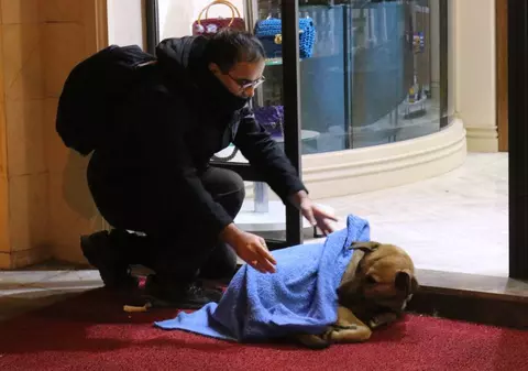 FOTO | Un medic stomatolog învelește cu pături animalele de pe stradă pentru ca ele nu moară de frig