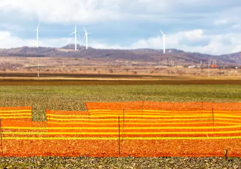 Ce se mai fură în România! Parazăpezile montate pe marginea drumurilor sunt luate pentru fier