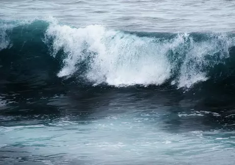 O femeie și-a pierdut viața încercând să-și salveze câinele din valuri