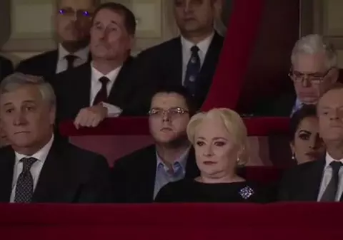 PAH spune că „politicienii trebuie să-și asume, de când candidează, că viața lor și a membrilor familiei nu le mai aparține”. Editorial despre subiectul adopției făcute de Dăncilă