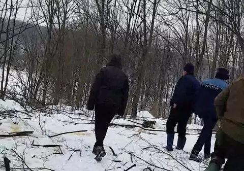 Un vrâncean a furat aproape o lună arbori din pădure fără să dea de bănuit. Bărbatul și-a confecționat un ciocan de marcat dintr-o monedă veche