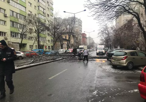 Zeci de copaci, rupți de vânt în București. Opt mașini au fost distruse de arborii doborâți la pământ