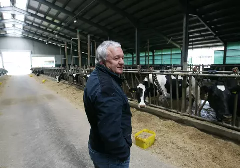 Comcereal, firma care i-a hrănit pe fotbaliștii de la Vaslui, a intrat în insolvență. Adrian Porumboiu a lăsat-o din brațe