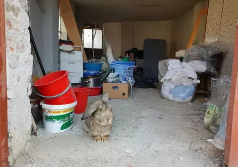 Bătrâni ținuți neîngrijiți și nespălați într-un azil privat din Timiș. Inspectorii OPC au găsit mâncare expirată, un iepure în curte și excremente de șoareci / FOTO&VIDEO