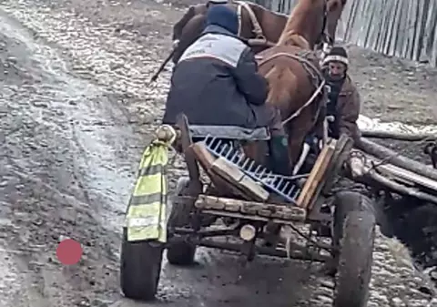Cal bătut cu sălbăticie, în Comănești. Animalul este lovit cu furca în cap |VIDEO