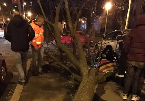 FOTO | Un copac a căzut peste o femeie pe o stradă din Drumul Taberei