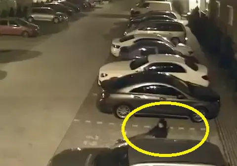 VIDEO | O hoață a fost filmată în timp ce a spart o mașină într-o parcare din Oradea!