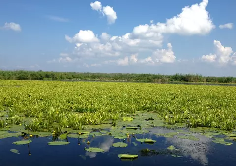 (Publicitate) Delta Dunării, locul perfect de explorat în această primăvară
