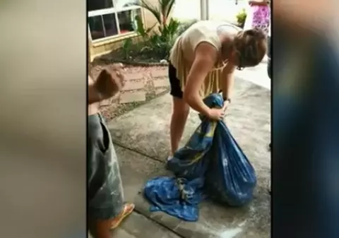 VIDEO | O femeie a avut o surpriză uriașă când a constatat ce "vizitator" se strecurase în casa ei!