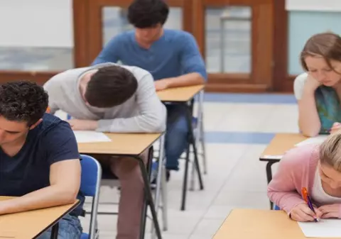 (Publicitate) Sistemul Educational Romanesc