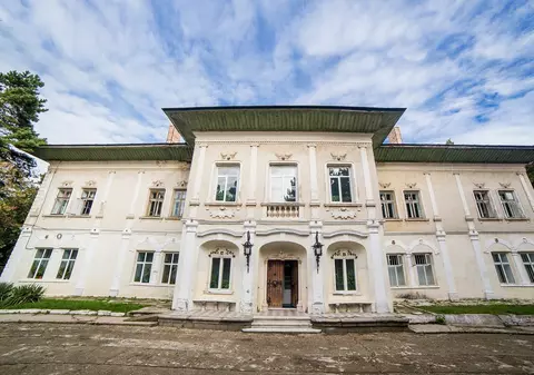 Castelul Cantacuzino-Ghica Deleni din județul Iași este scos la vânzare. Cât costă monumentul istoric impresionant / FOTO