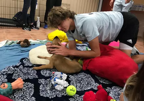 Alexander Zverev jr. a adoptat un cățel la Miami | GALERIE FOTO&VIDEO