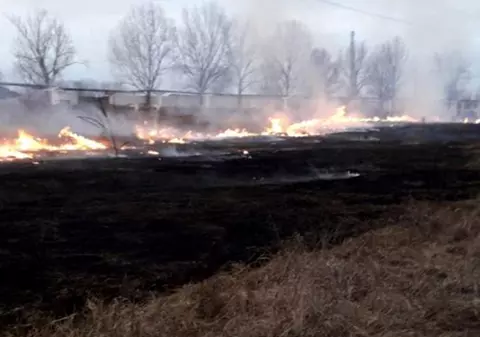 Incendiu de stuf şi vegetaţie uscată, într-un sat din Tulcea. Ard 500 de hectare de teren