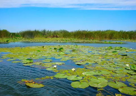 Delta Dunării, muzeul naturii de explorat în această primăvară! (PUBLICITATE)