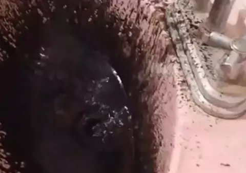 VIDEO | Alt necaz pe capul unor locuitori din Venezuela: apa de la robinet este neagră!