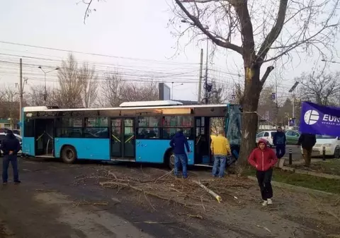 FOTO / Un autobuz Otokar a intrat într-un copac. Consilier general: „Posibil să fi rămas fără frâne”. Directorul STB: „Avea viteză prea mare, a încercat să evite o altă mașină”