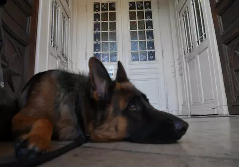 Cel mai bun prieten al câinelui. Povestea lui Mihai, un român care locuiește “pe ultima treaptă, pe stânga” a Bisericii St. Eustache, din Paris