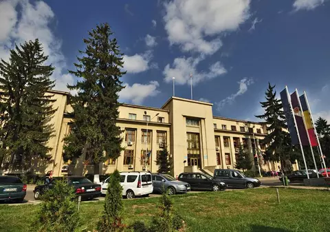 Primăria Roman fixează tarife pentru distrugerea plantelor și obiectelor de pe domeniul public. Cât te costă să rupi un trandafir