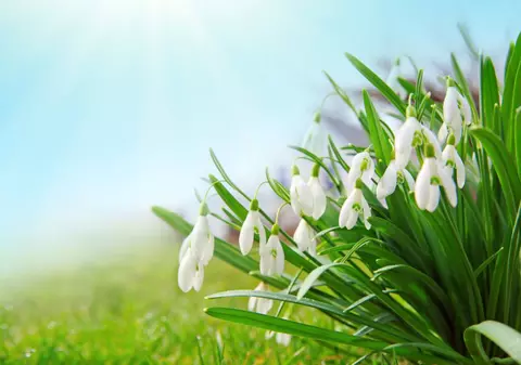 Horoscopul primăverii 2019. Ce ți-au pregătit astrele în următoarele 3 luni. Află cum vei sta cu dragostea, banii, cariera și sănătatea