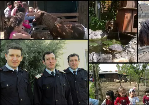 Trei frați pompieri și grădina lor zoologică! Au transformat curtea casei părintești într-un adăpost pentru animale