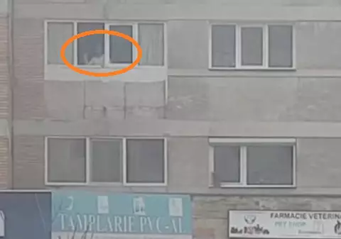 VIDEO | Un bătrân din Pitești se "distra" aruncând cu sticle de la geamul apartamentului său