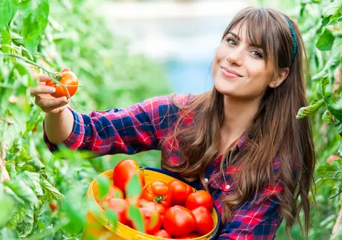 LIBERTATEA TE AJUTĂ: Subvenții pentru tomate, și în 2019. Cine beneficiază și până la ce dată trebuie depuse cererile