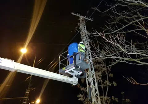 Inspectoratul Școlar și mai multe școli din Timișoara au rămas fără Internet în timpul simulării pentru Bacalaureat. Primăria a tăiat cablurile din centrul orașului